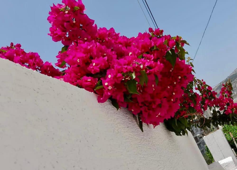Ona Apartament Sarandë Esterno foto
